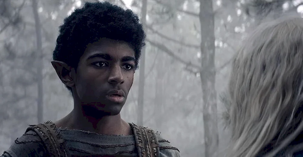 Black Elf The Witcher Netflix