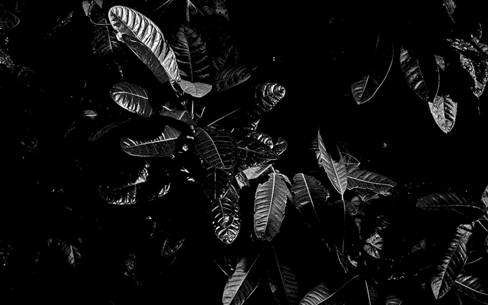 Dunkler Hintergrund