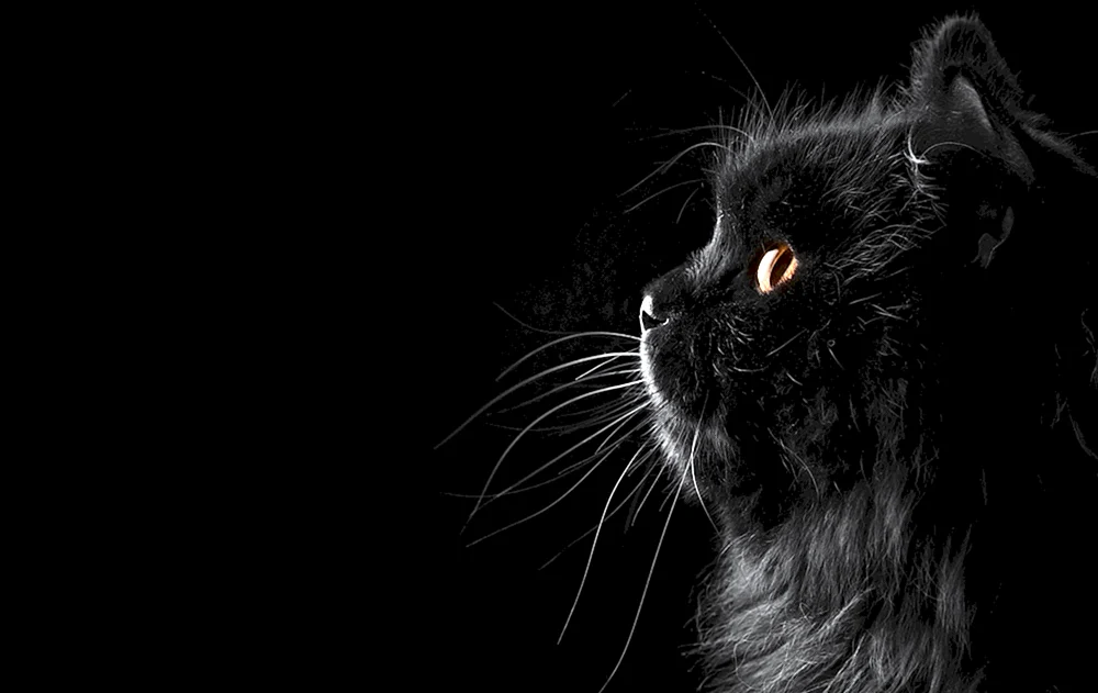 Schwarzer Desktop Hintergrund