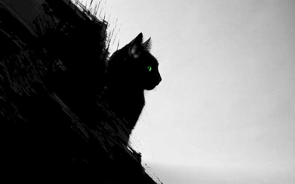 Schwarze Katze