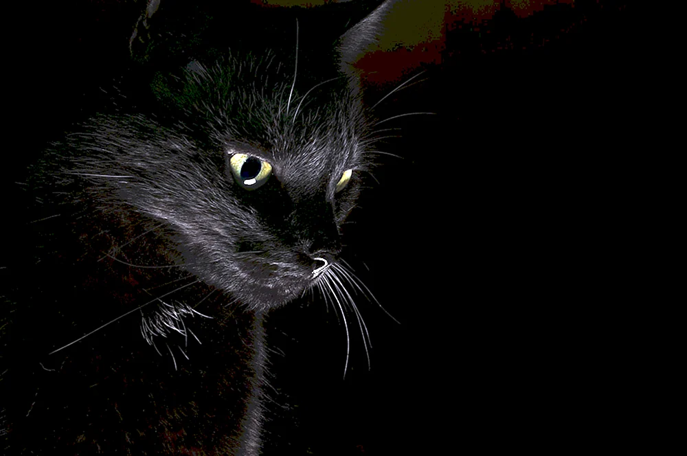 Dunkler Desktop-Hintergrund