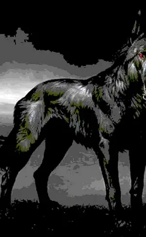 Schwarzer Wolf