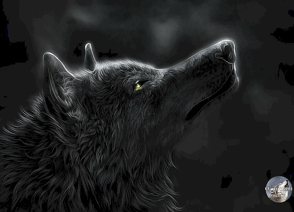 Schwarzer Wolf