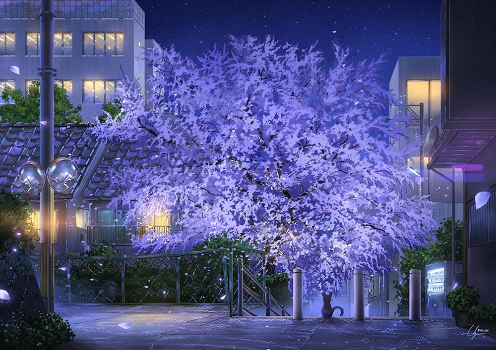 Schnee auf Gacha Straße