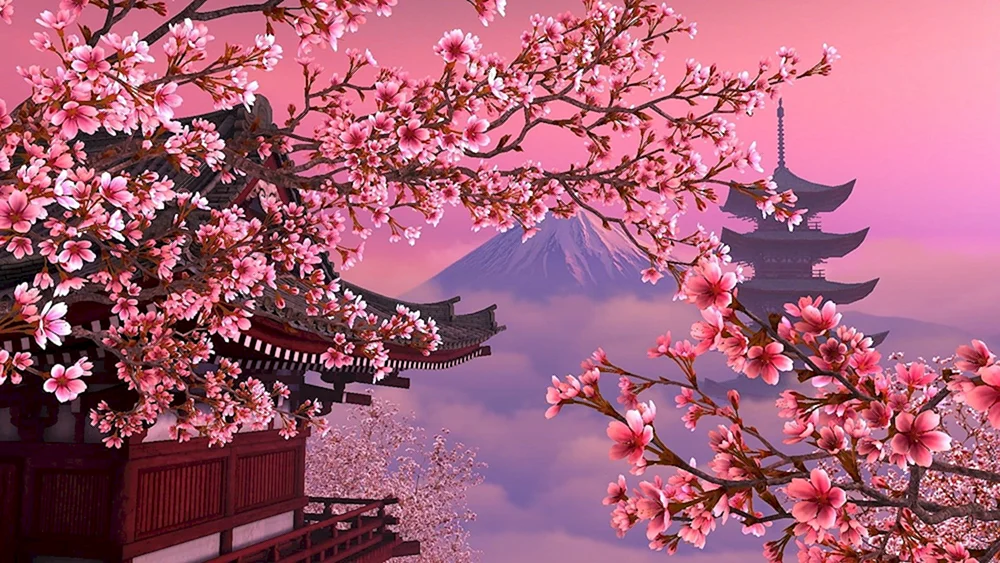 Kyoto Berg Fujiyama