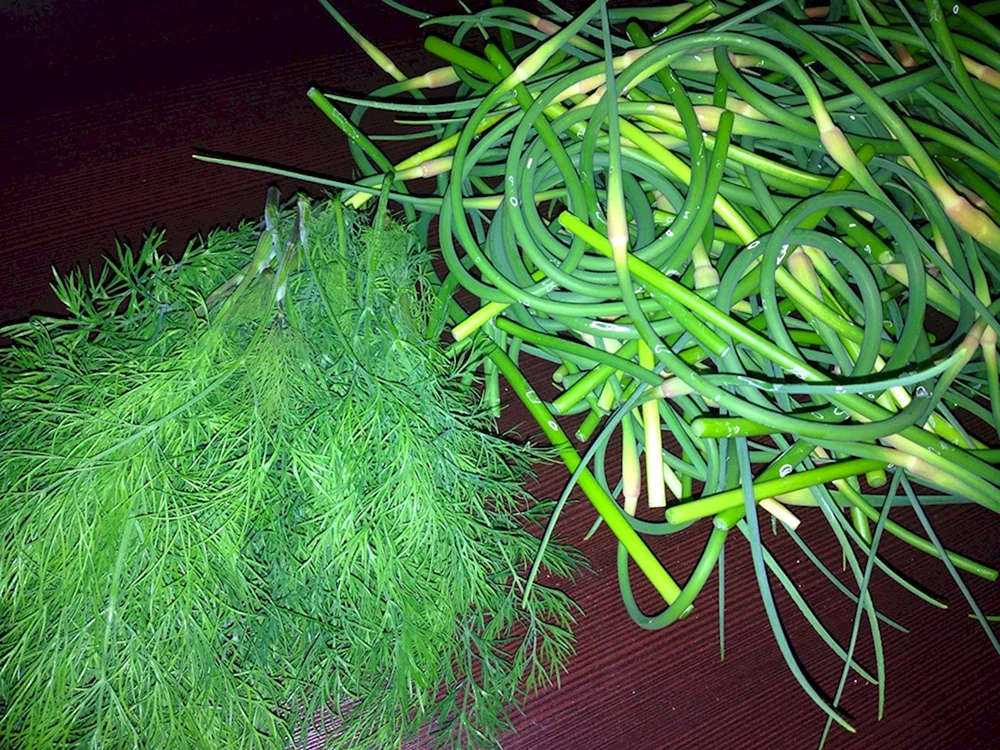 Knoblauchpfeile mit Dill für den Winter