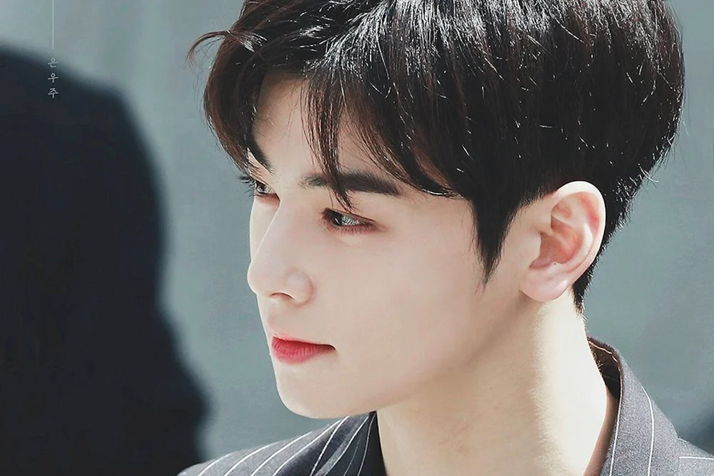 Chha Eunu, Kim Jae Joon, Sonhwa ATEEZ, Vokuhila Taechen, Lee min Ho, REN nuest, Moderner Vokuhila, Vokuhila koreanischer Haarschnitt, Jeong Jae Hyun, Vokuhila Baekhyeon