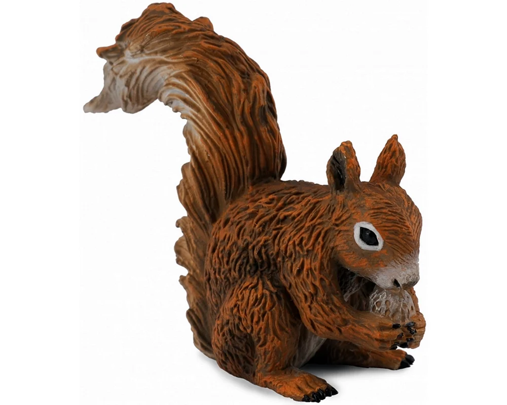 Collecta Eichhörnchen
