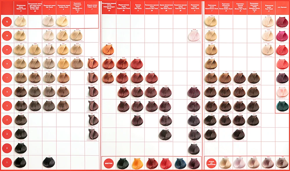 Concept Profy Touch Palette