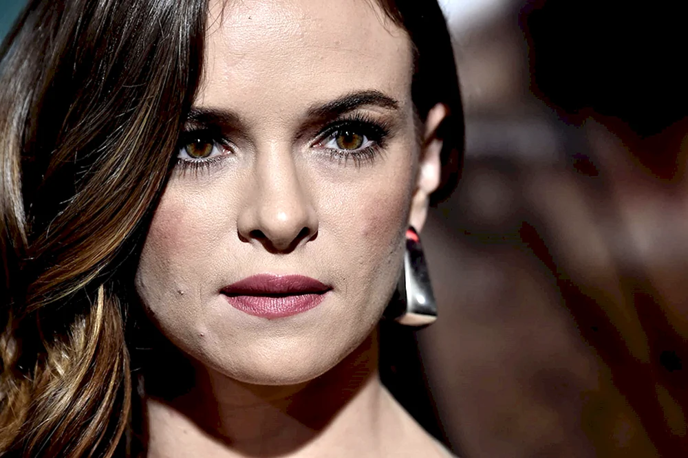 Danielle Panabaker 2023