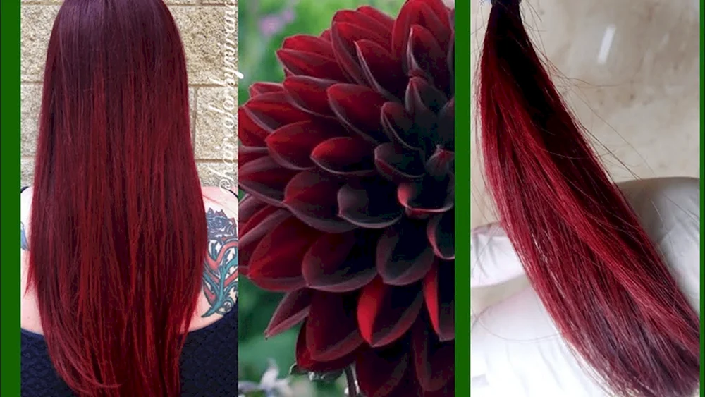 Dark Burgundy. Farbe