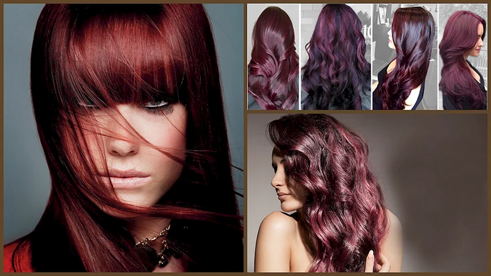 Guy Tang Colorist