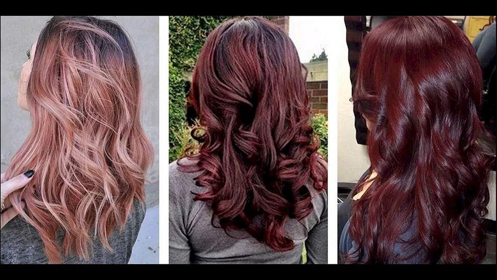 Haarfarbe Dark Cherry
