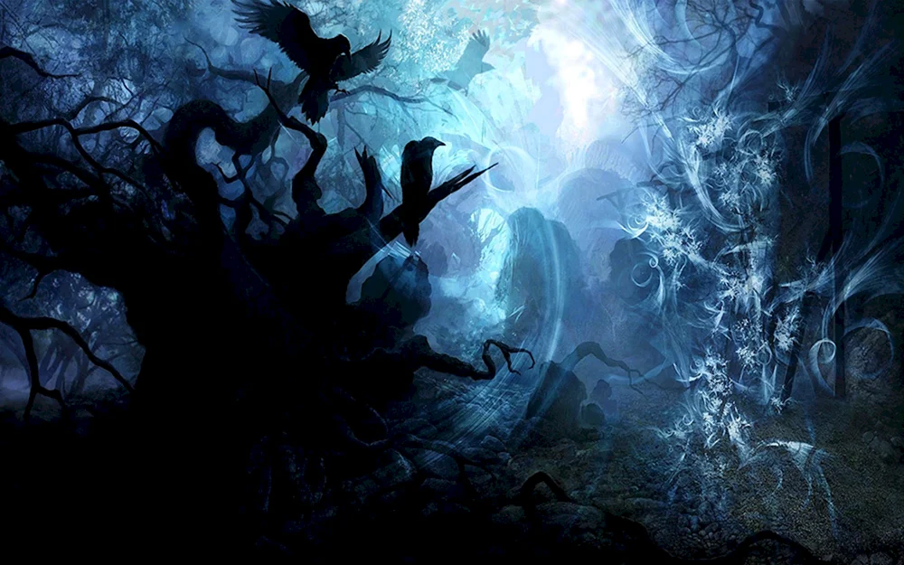 Nacht-Wald