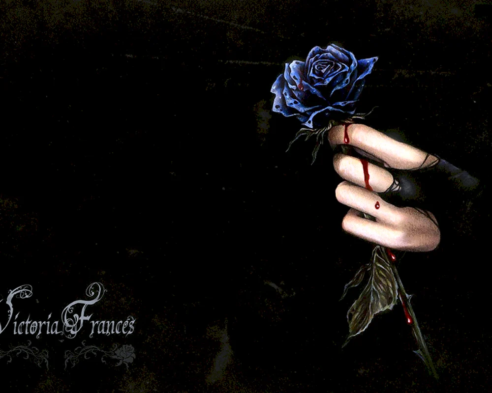 Rose schwarz-weiß