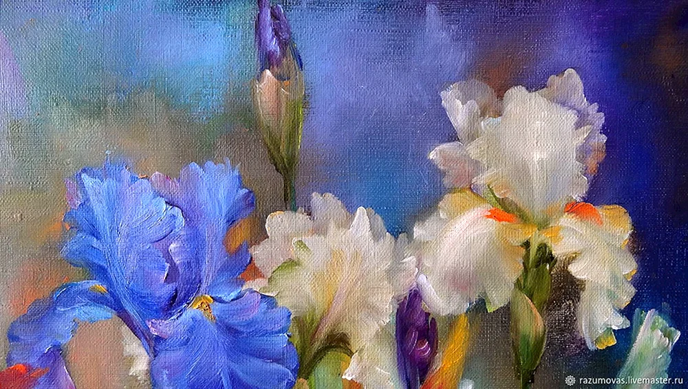 David Manakian irises