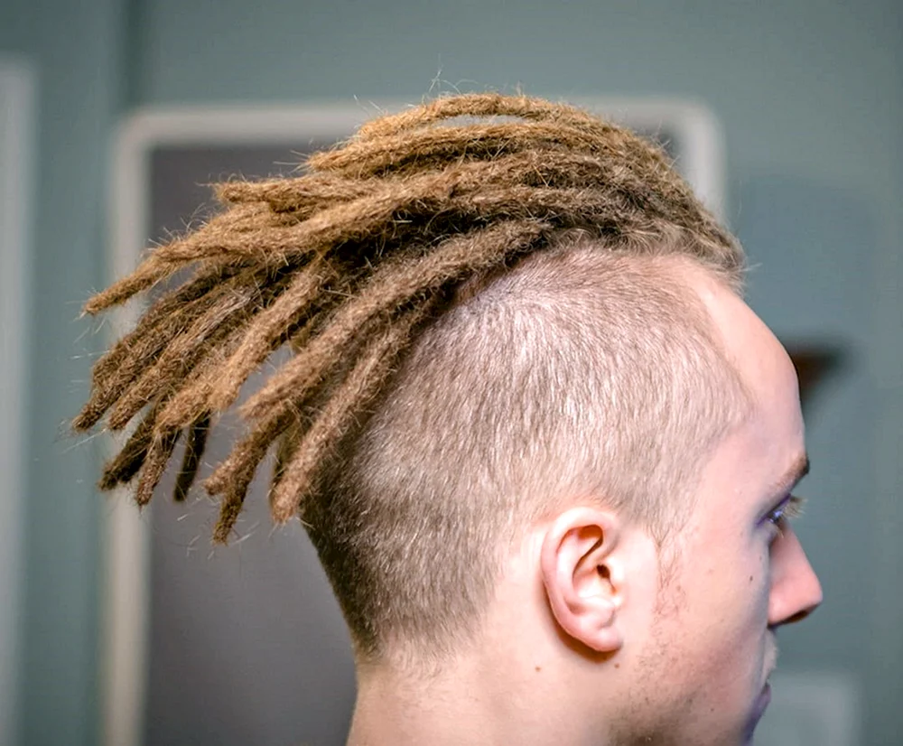 Soft Dreadlocks