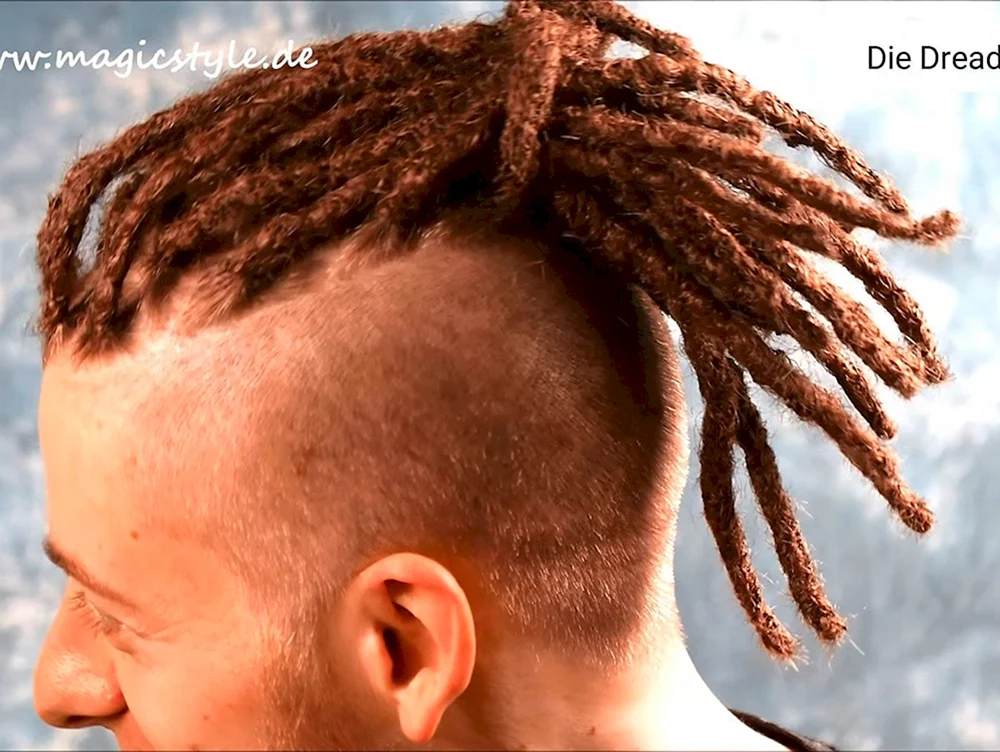 Afrokos auf der unterkatze