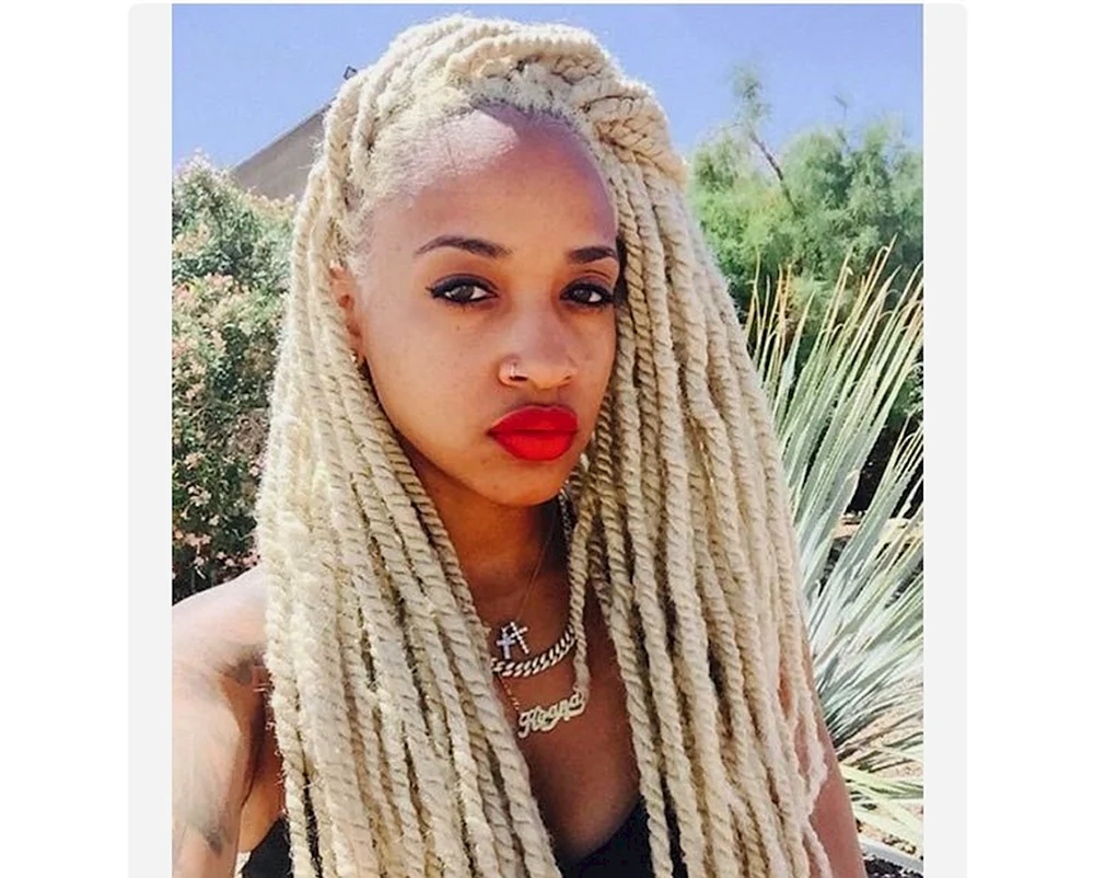 De Dreadlocks Afrozöpfe.