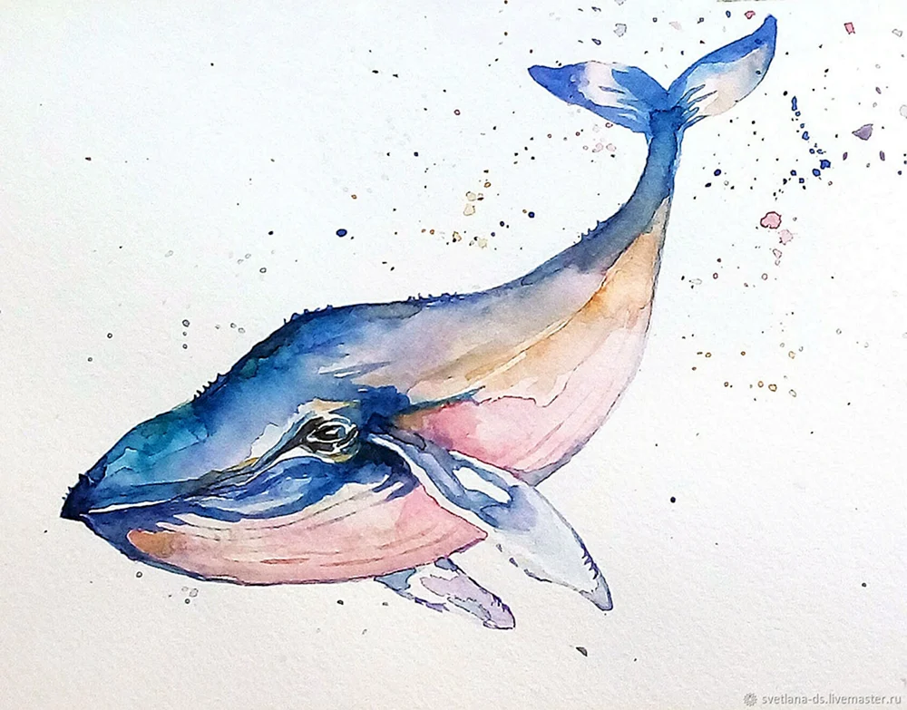 Delphin Wal Aquarell