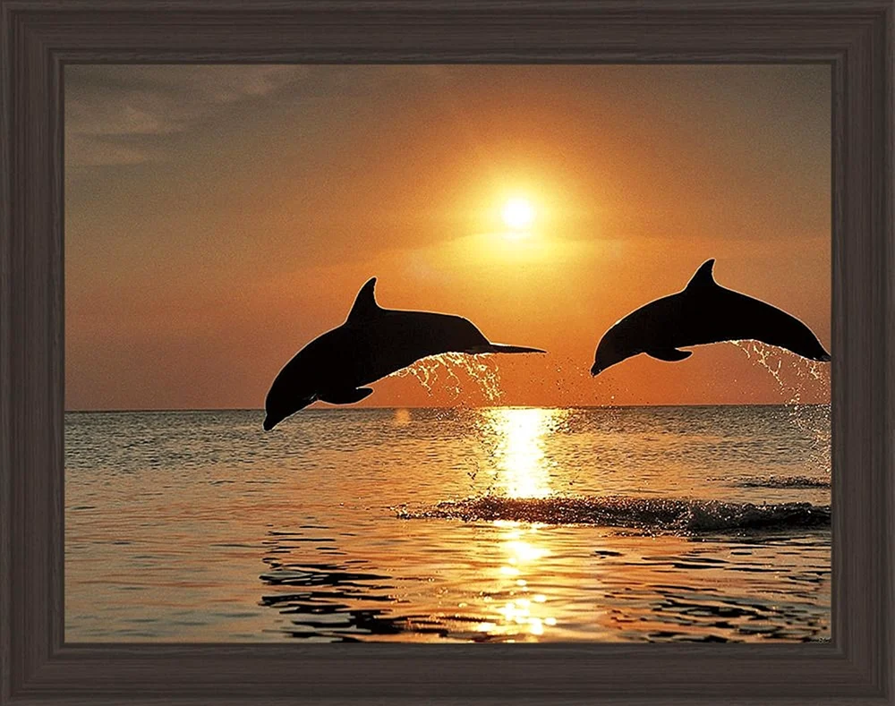 Delphine bei Sonnenuntergang