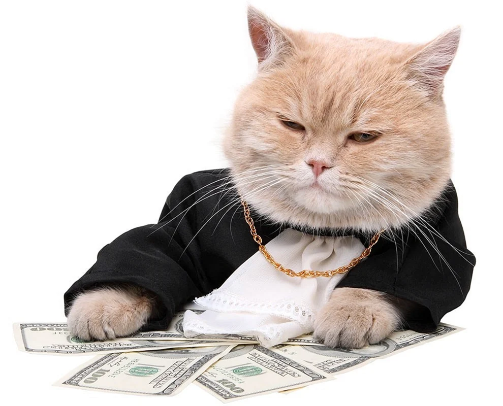 Geldkatze
