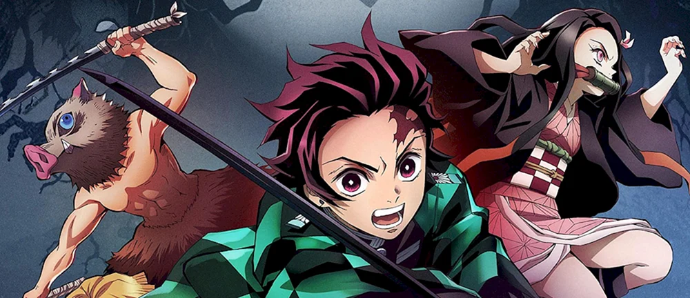 Dämonentöter Kimetsu no Yaiba