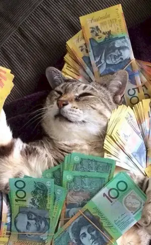 Geldkatze Geldkatze Geldkatze Geldkatze Geldkatze Geldkatze Geldkatze Geldkatze Geldkatze Geldkatze Geldkatze Geldkatze Geldkatze Geldkatze Geldkatze Geldkatze Geldkatze Geldkatze Geldkatze Geldkatze Bankerkatze Geldkatze Geldkatze Geldkatze Geldkatze Geldkatze Geldkatze Geldkatze Geldkatze Geldkatze Geldkatze Katze