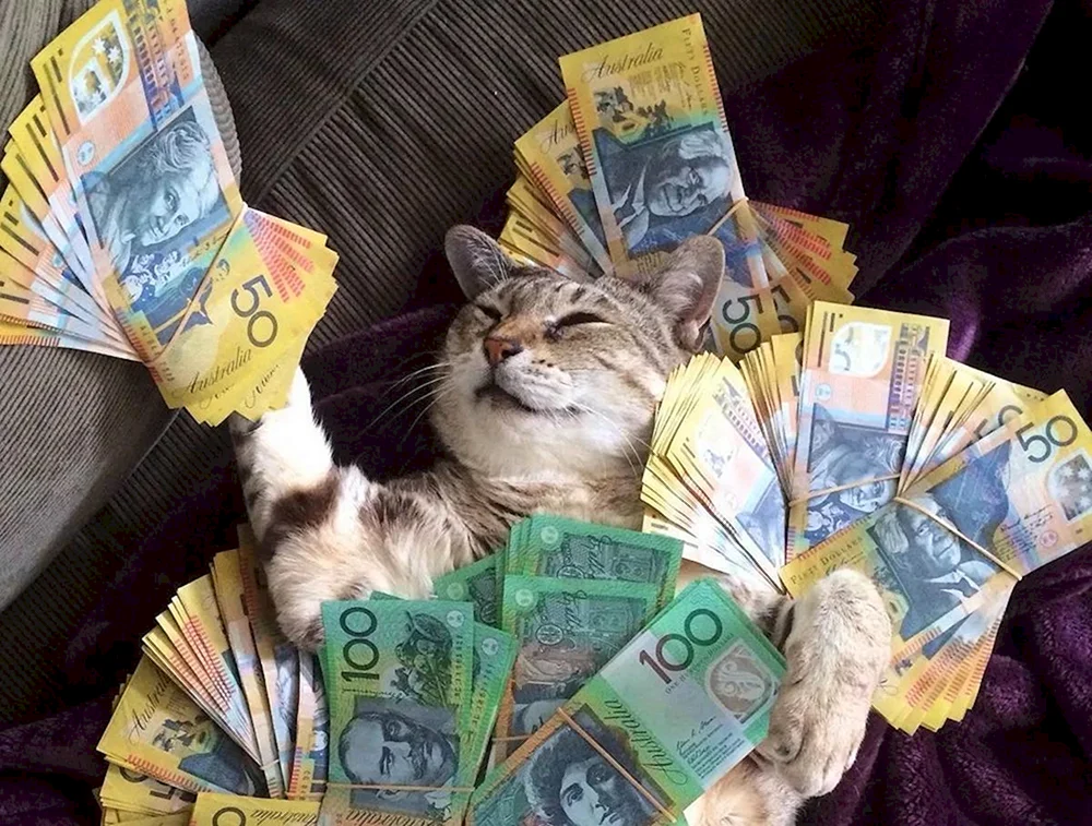 Geldkatze Geldkatze Geldkatze Geldkatze Geldkatze Geldkatze Geldkatze Geldkatze Geldkatze Geldkatze Geldkatze Geldkatze Geldkatze Geldkatze Geldkatze Geldkatze Geldkatze Geldkatze Geldkatze Geldkatze Bankerkatze Geldkatze Geldkatze Geldkatze Geldkatze Geldkatze Geldkatze Geldkatze Geldkatze Geldkatze Geldkatze Katze