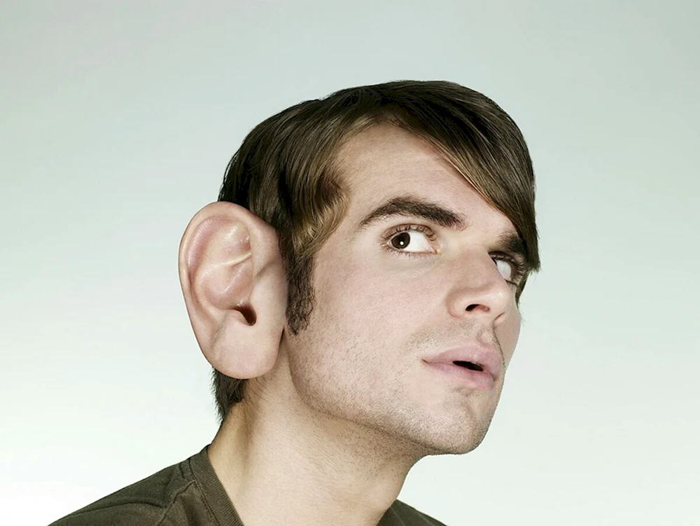 Daniel Kendrick Stupsnase