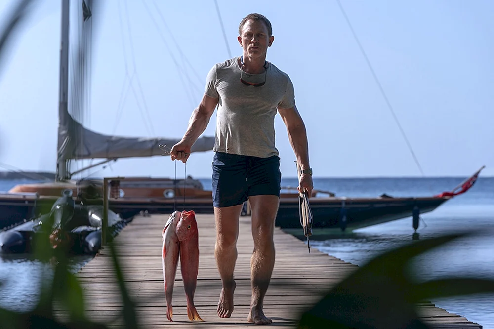 Daniel Craig