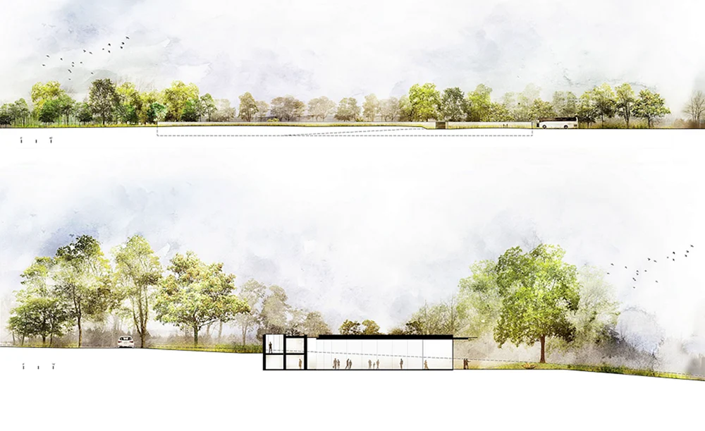 Bäume für architektonisches Rendering