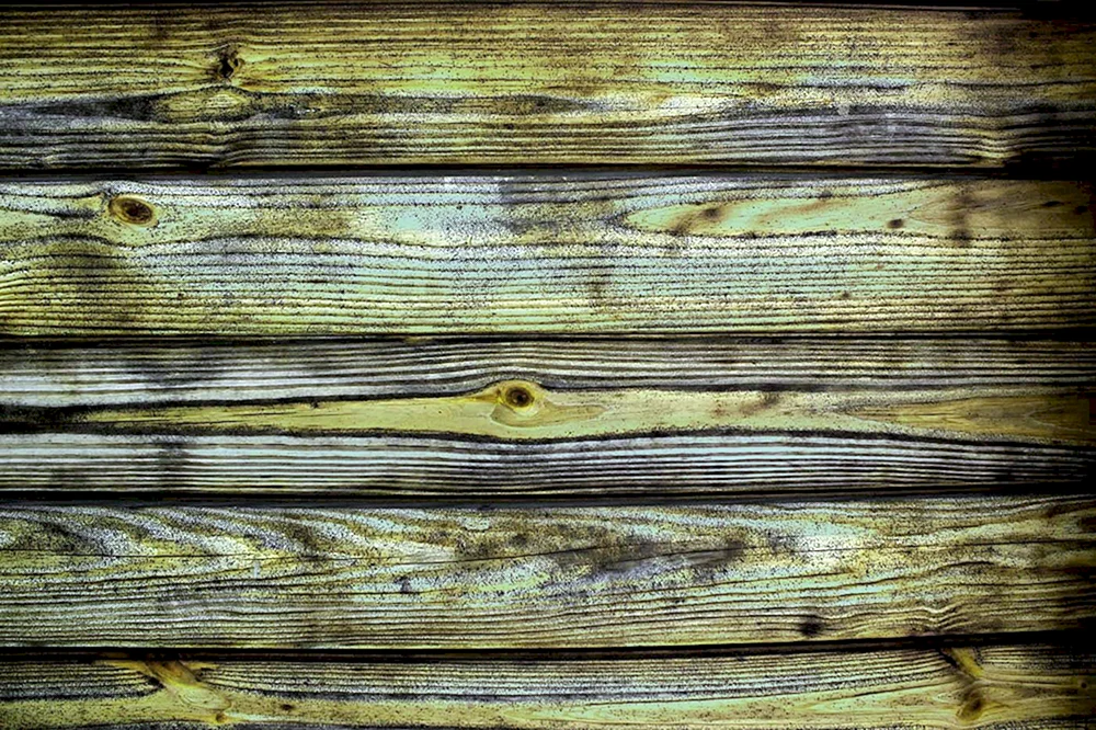 Holzwand
