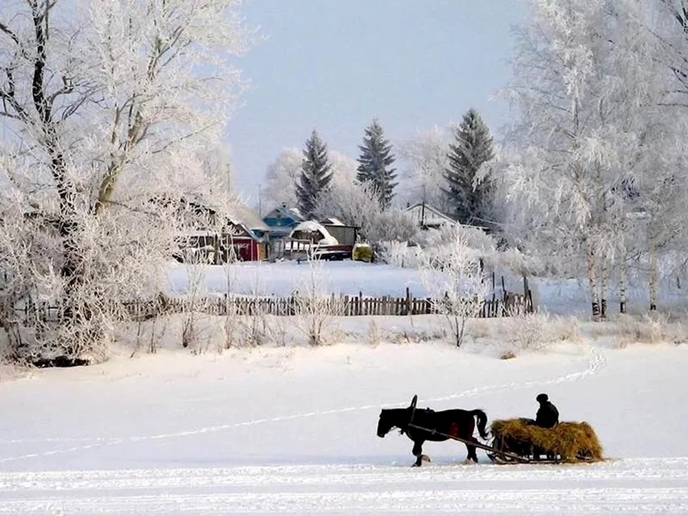 Volgodskaya Dorf Vologodskaya oblast