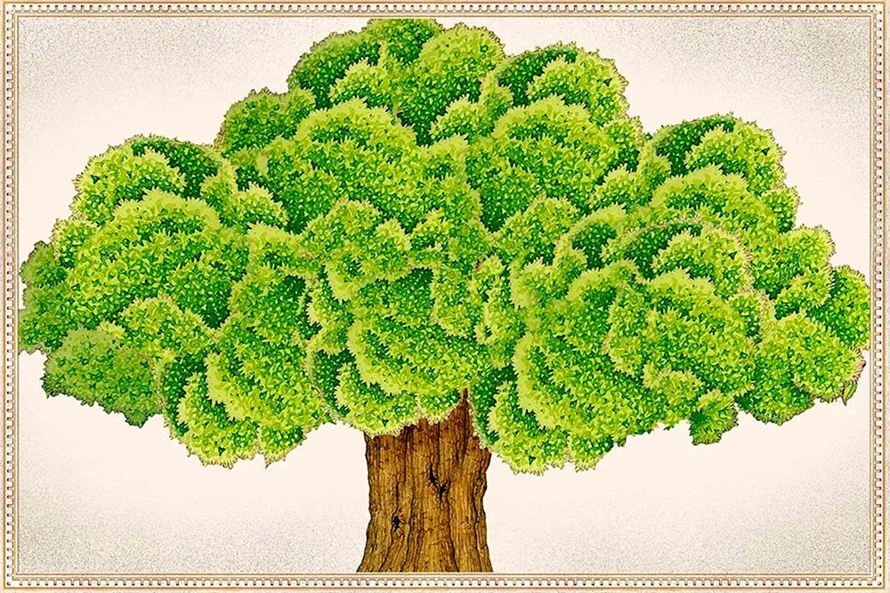 Baum für Genealogie Baum