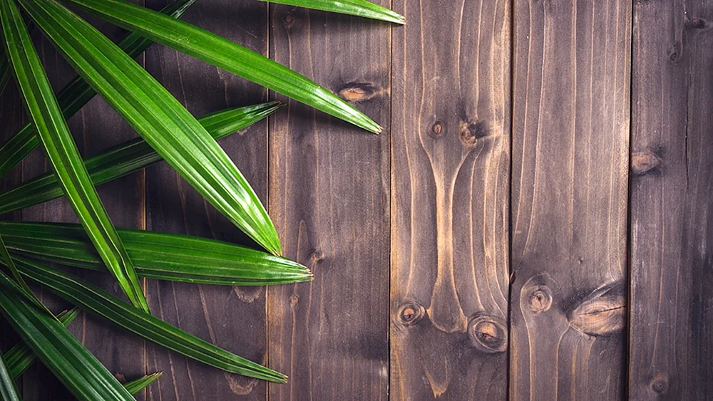 Essen auf Holztisch