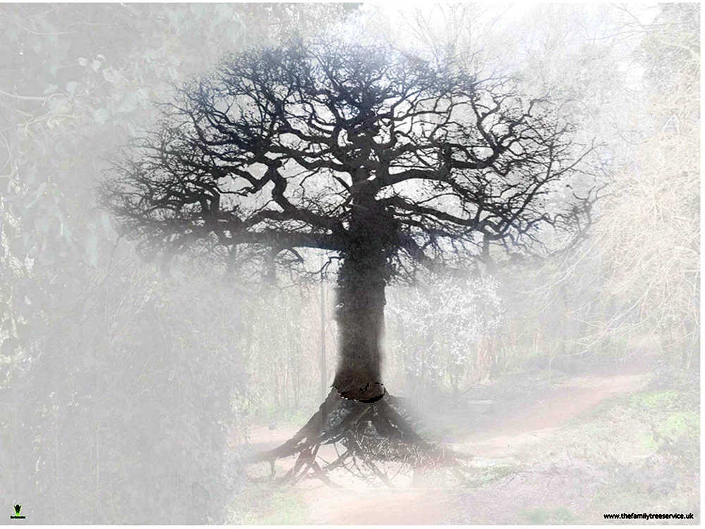 Schöner Baum