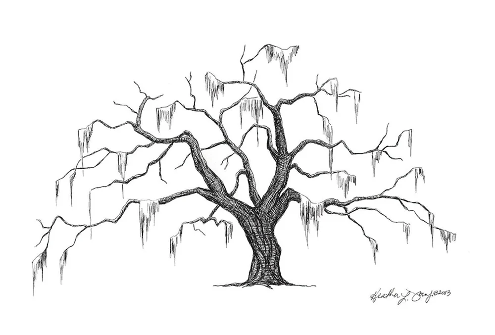 Baumzeichnung mit Bleistift