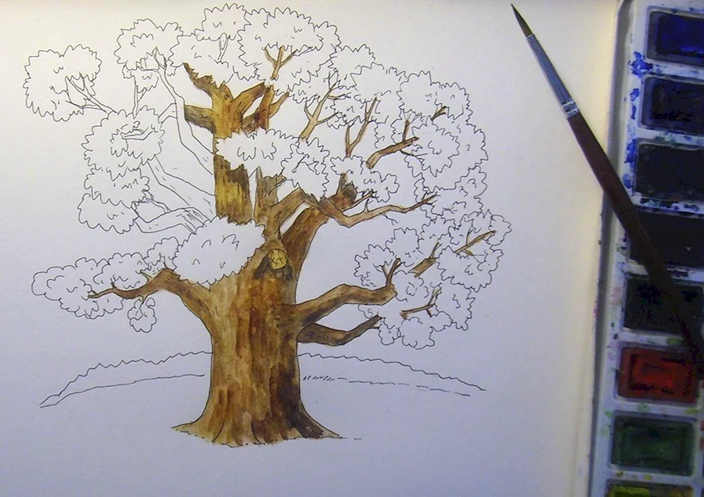 Bäume mit Bleistift zeichnen