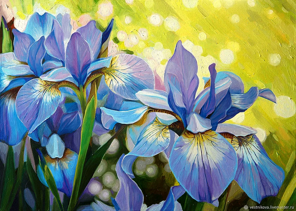 Irises. von Osipenko