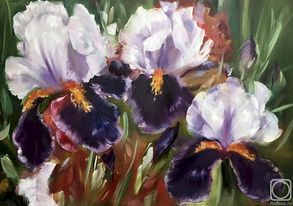 Elizabeth Horning irises