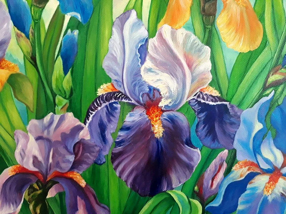 Elizabeth Horning irises