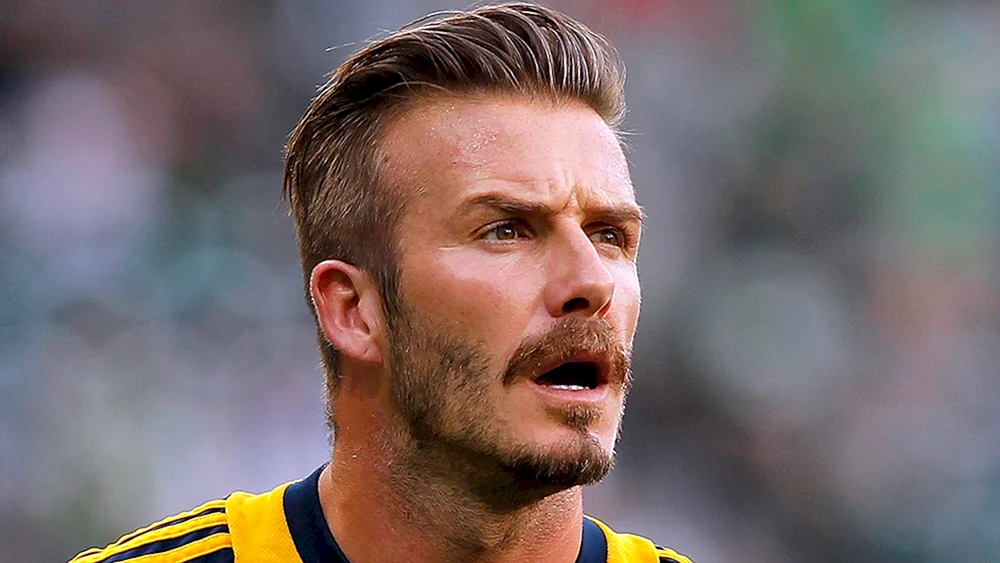 David. Beckham Bart