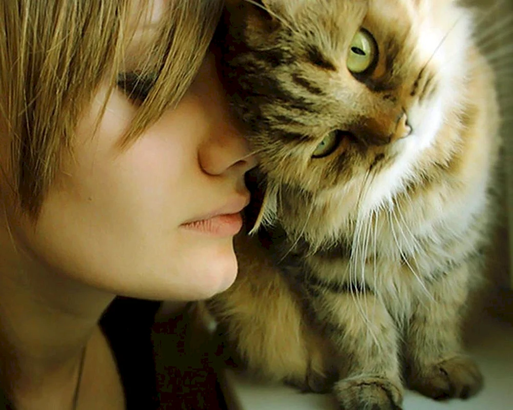 Mädchen mit Katze
