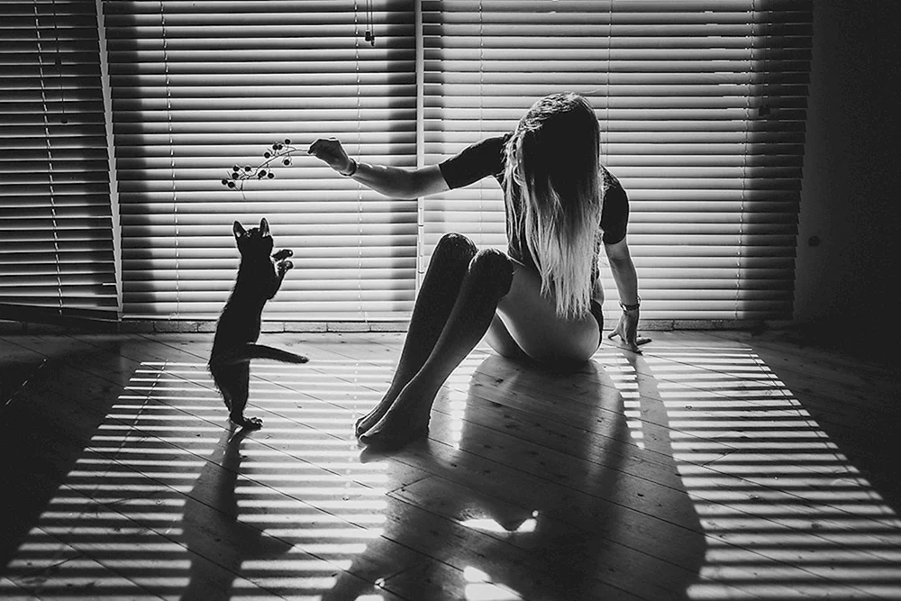 Mädchenkatze