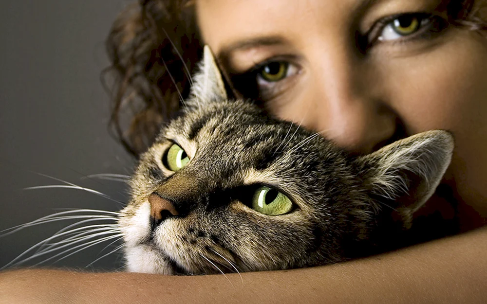 Mädchen mit Katze