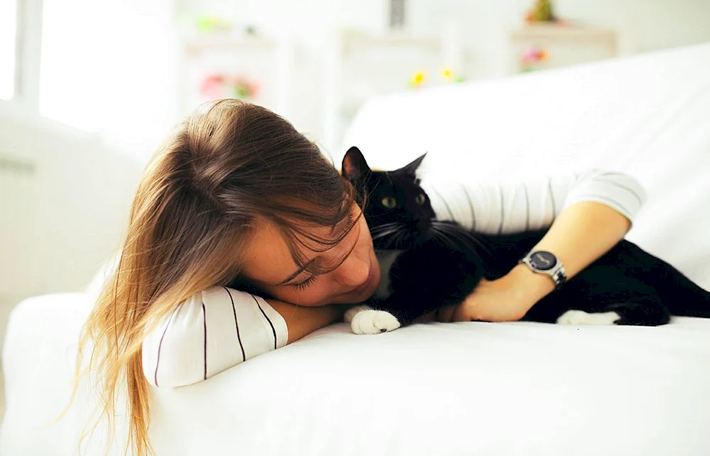 Katze Monica