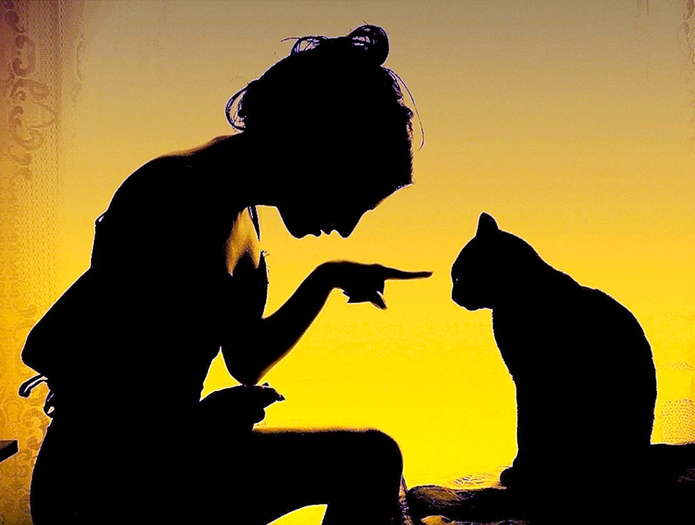Mädchen mit Katze