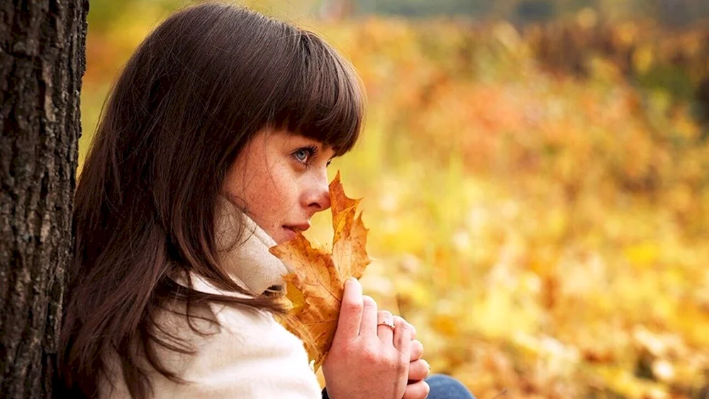 Herbst-Bilder