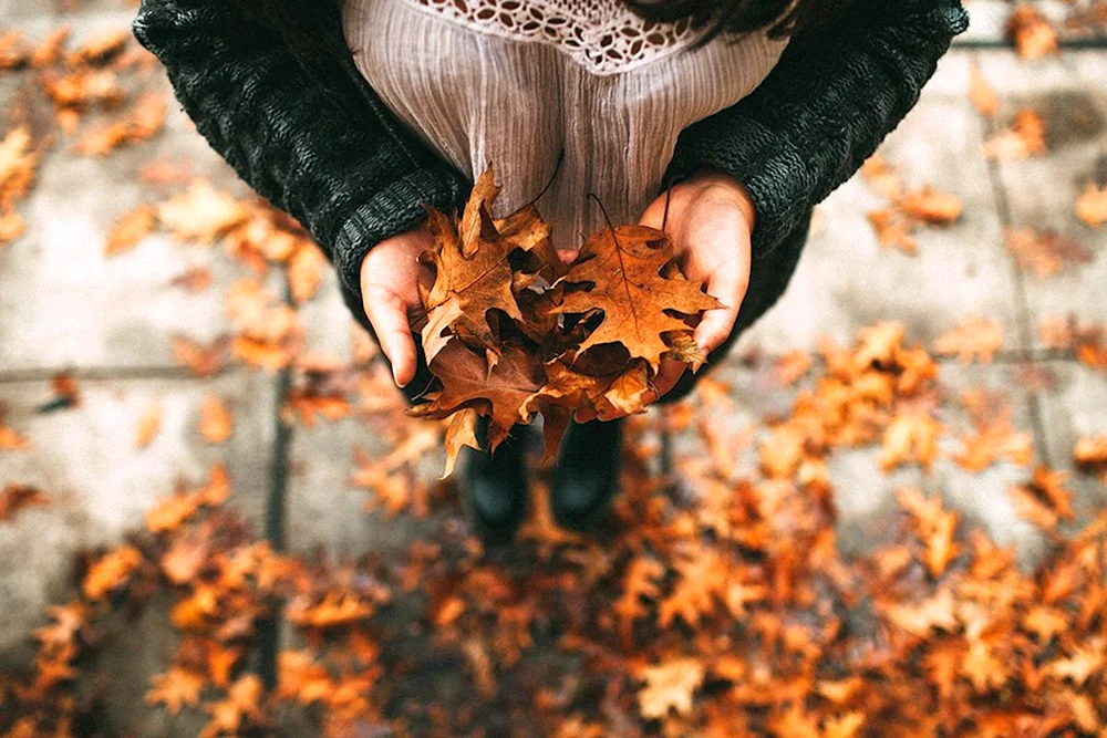 Herbstmädchen von hinten